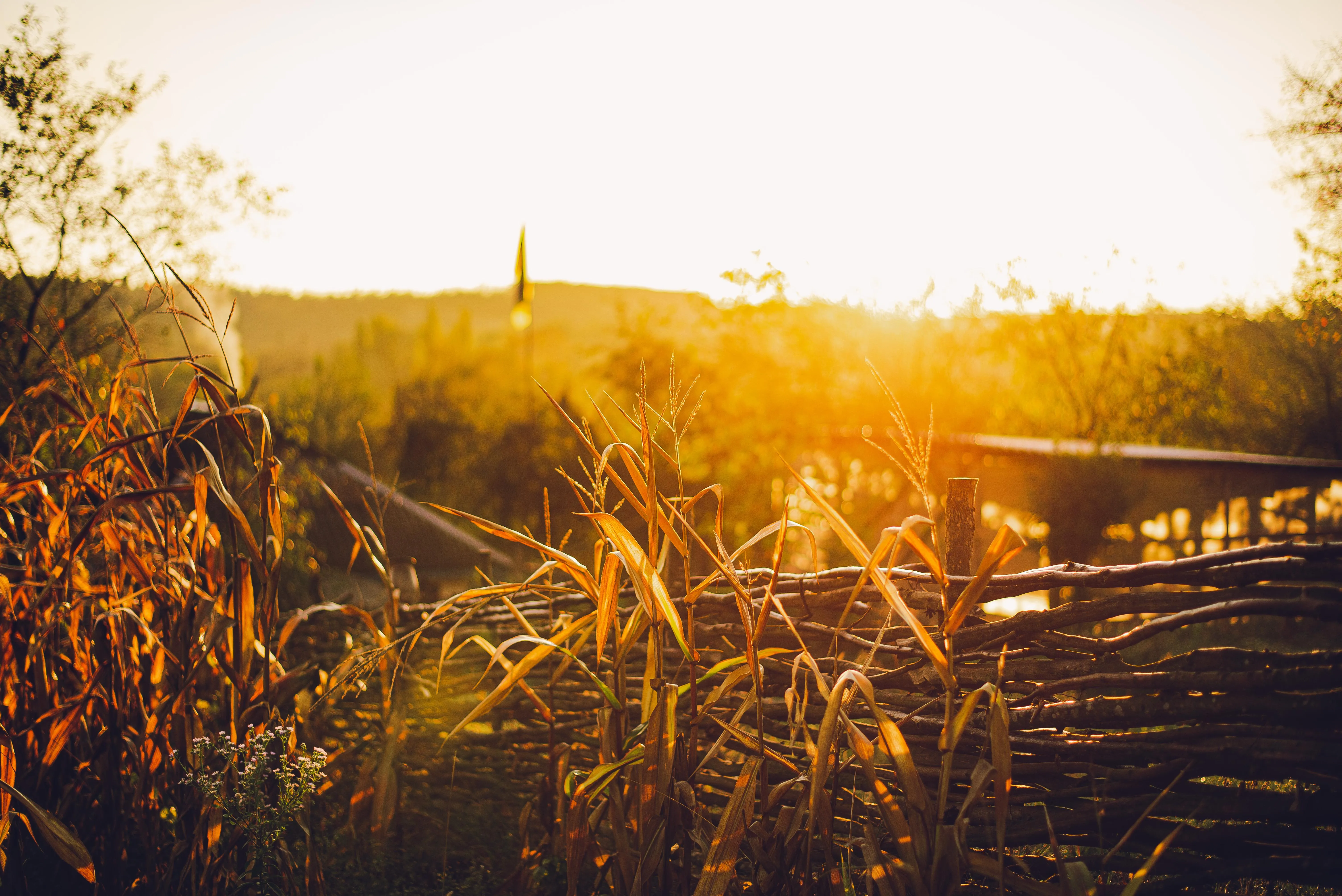 бабье лето бабье лето