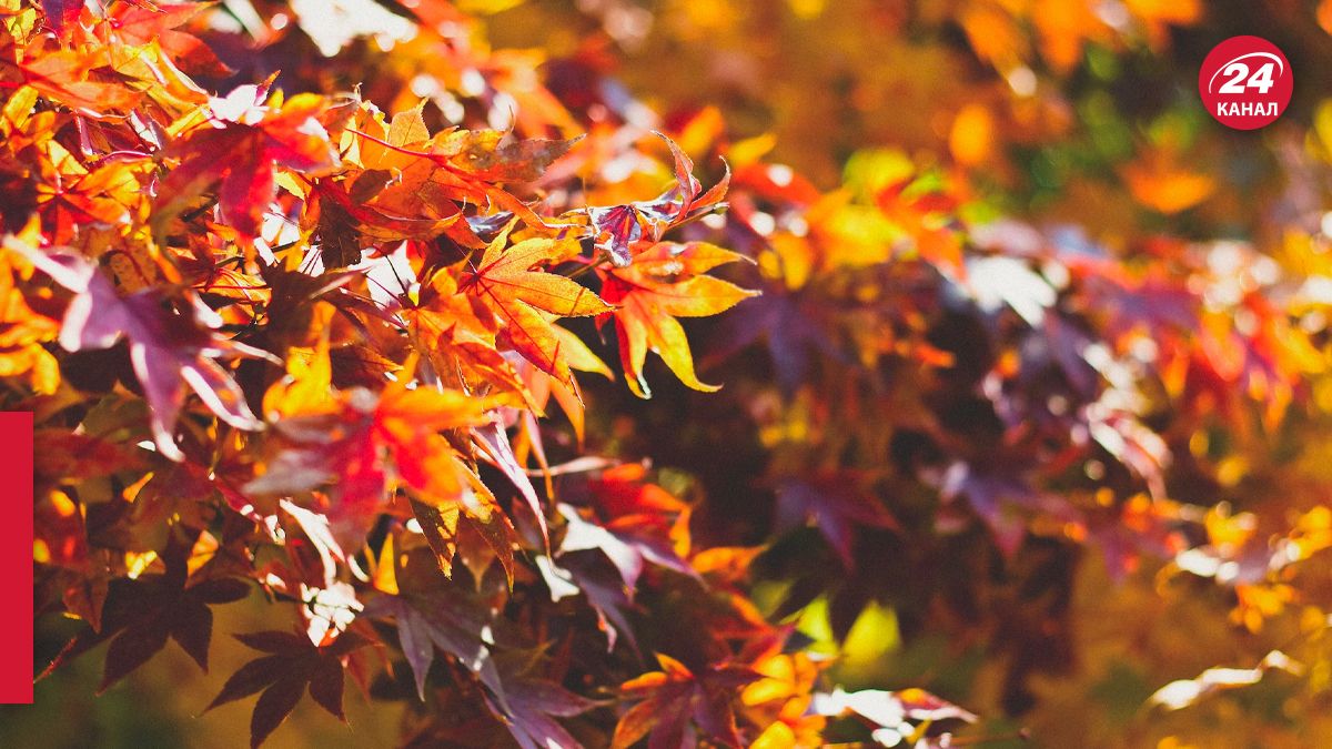 Какая будет погода 19 октября в Украине - 24 Канал Какая будет погода 19 октября в Украине - 24 Канал