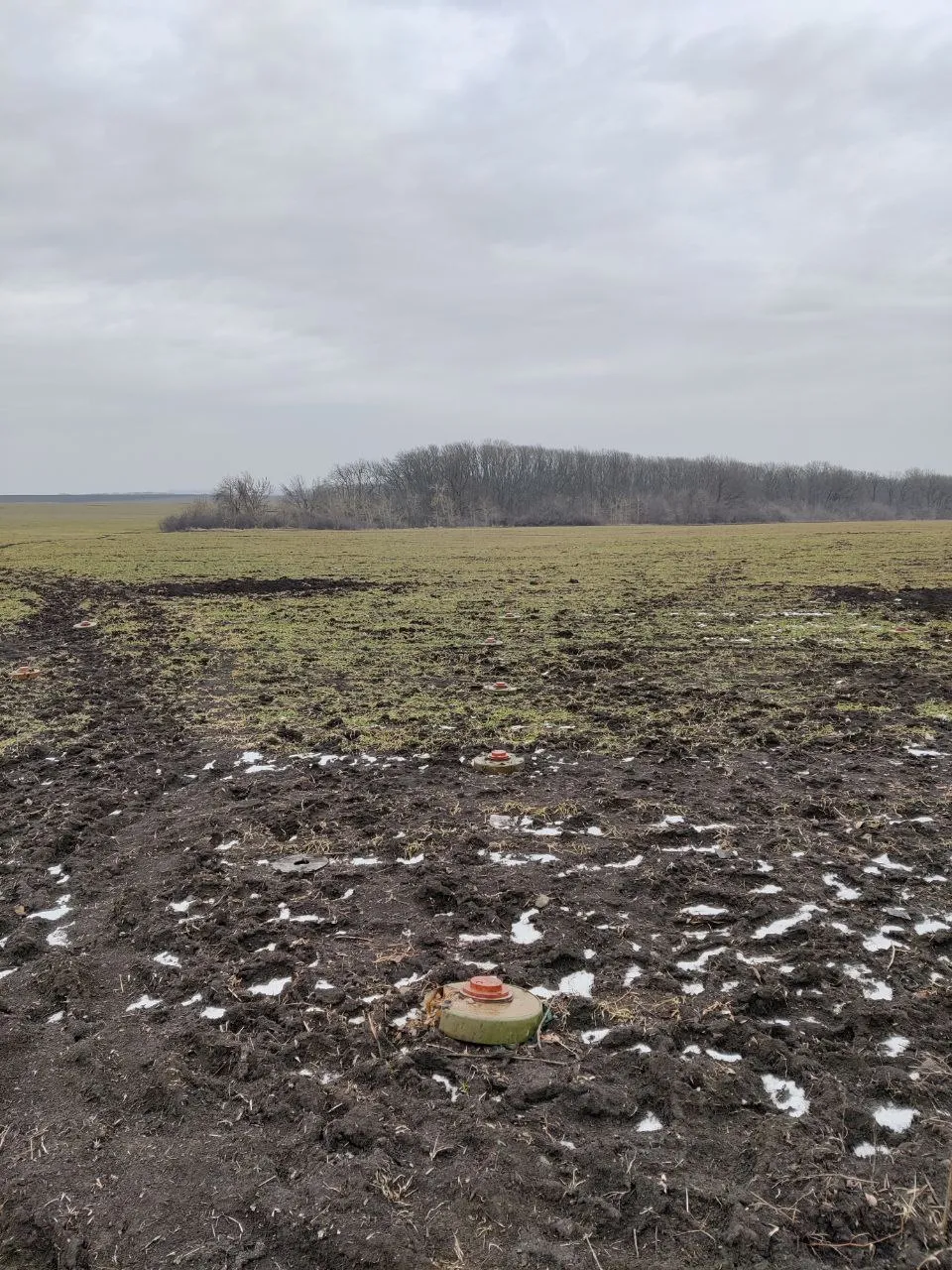 міни в українському полі