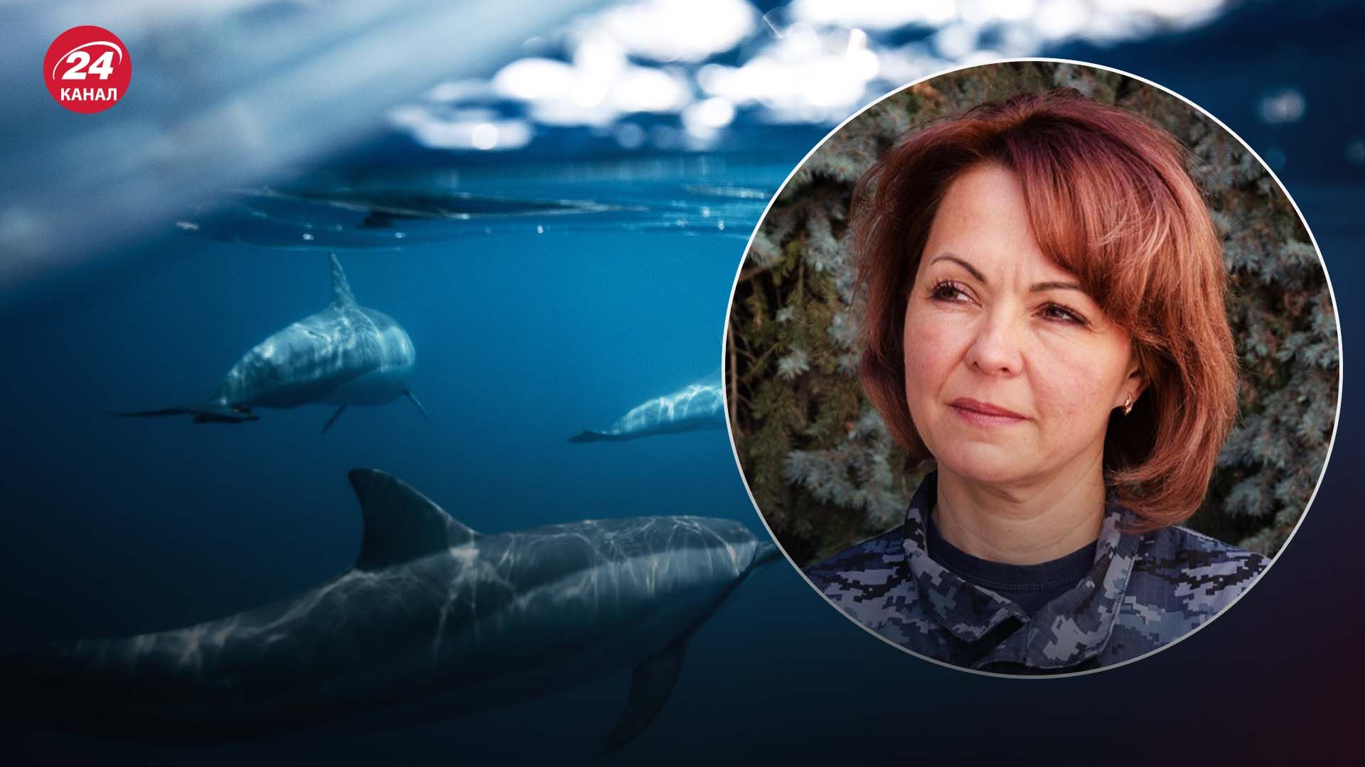 Бойові дельфіни - чи дійсно Росія використовує дресированих тварин для захисту від ГУР - 24 Канал Бойові дельфіни - чи дійсно Росія використовує дресированих тварин для захисту від ГУР - 24 Канал