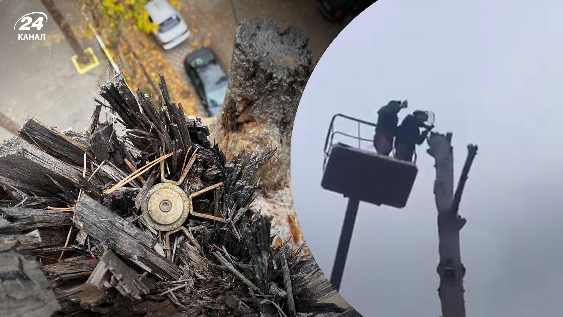 Розмінування територій - біля лікарні в Ірпені виявили снаряд - він був у дереві - 24 Канал Розмінування територій - біля лікарні в Ірпені виявили снаряд - він був у дереві - 24 Канал