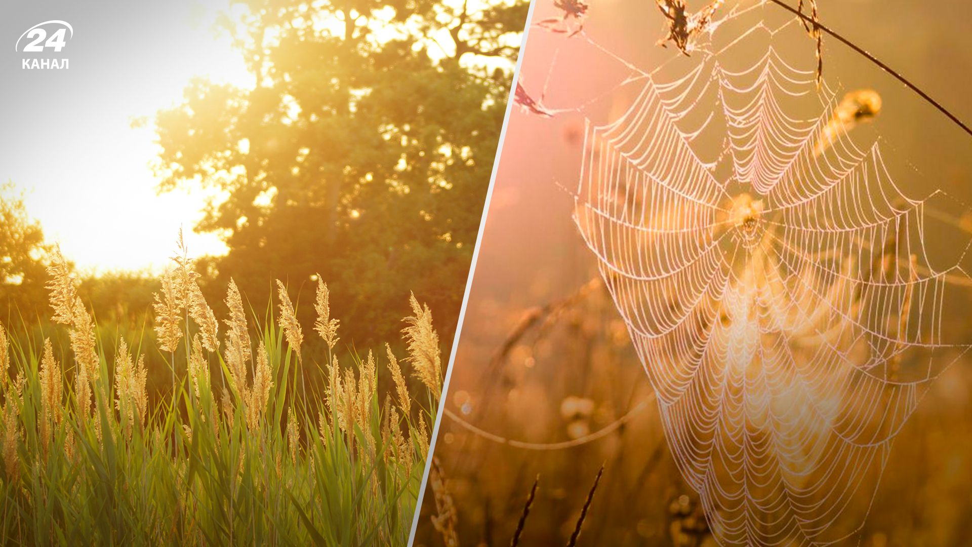 Бабине літо - 24 Канал Бабине літо - 24 Канал