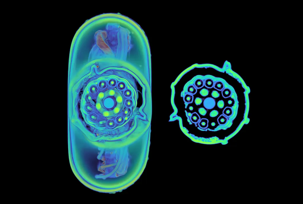Екрановані та неекрановані дроти всередині шнура Thunderbolt Екрановані та неекрановані дроти всередині шнура Thunderbolt