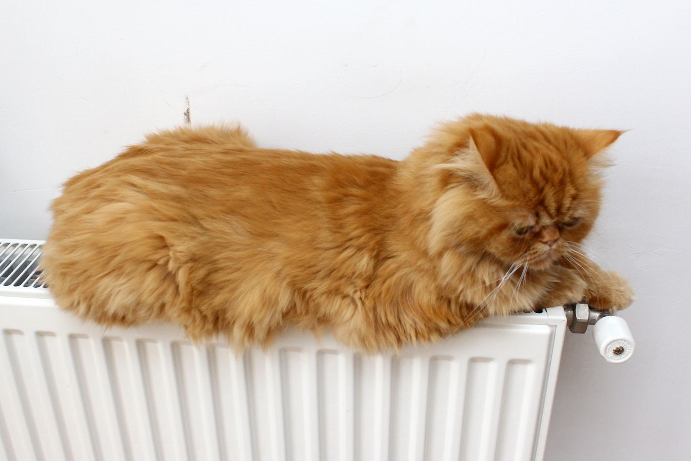 Скільки будинків під'єднали до тепла у Києві Скільки будинків під'єднали до тепла у Києві