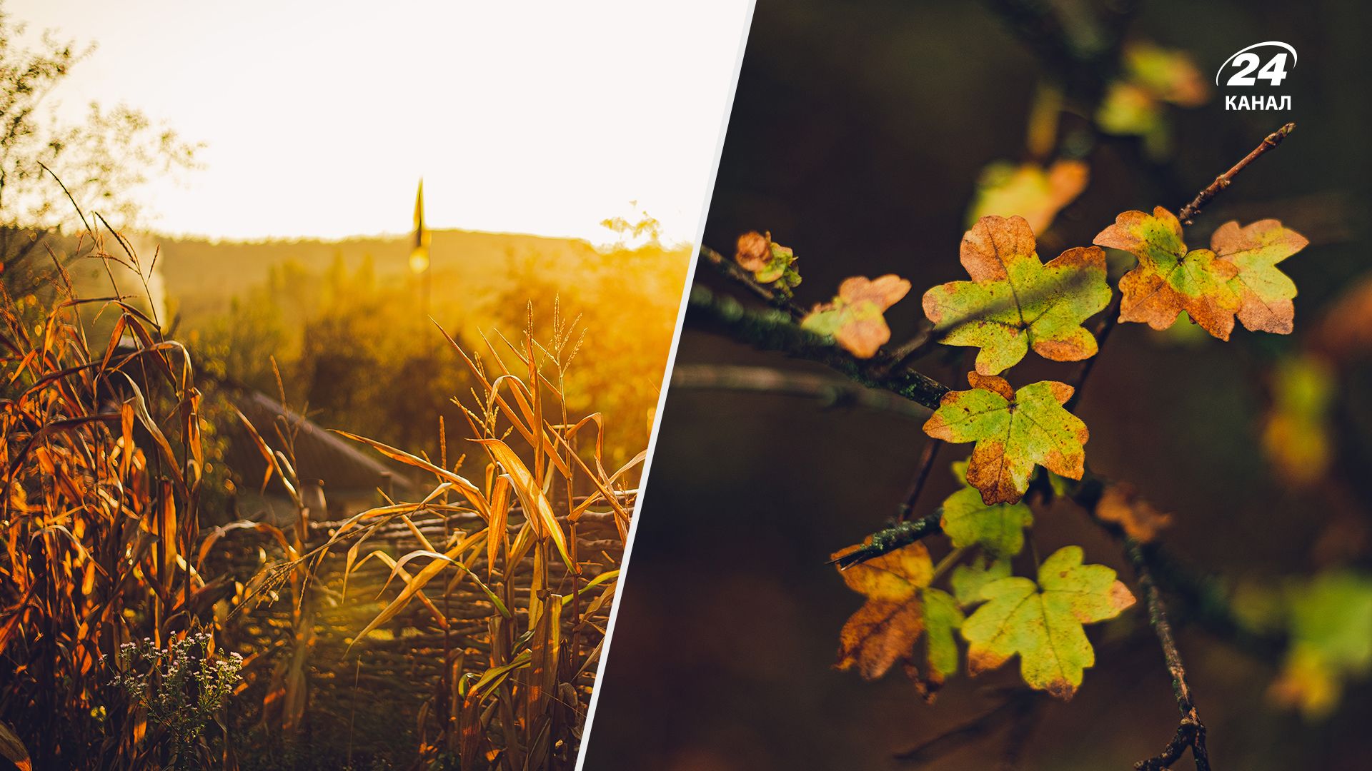 Прогноз погоды - 24 Канал Прогноз погоды - 24 Канал