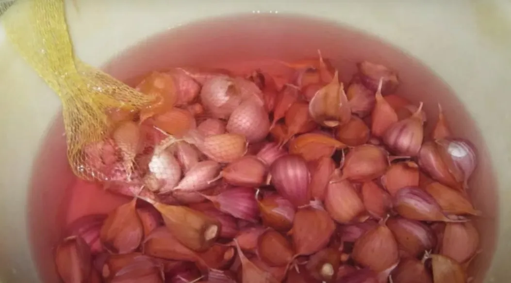 у чому замочити часник перед посадкою у чому замочити часник перед посадкою