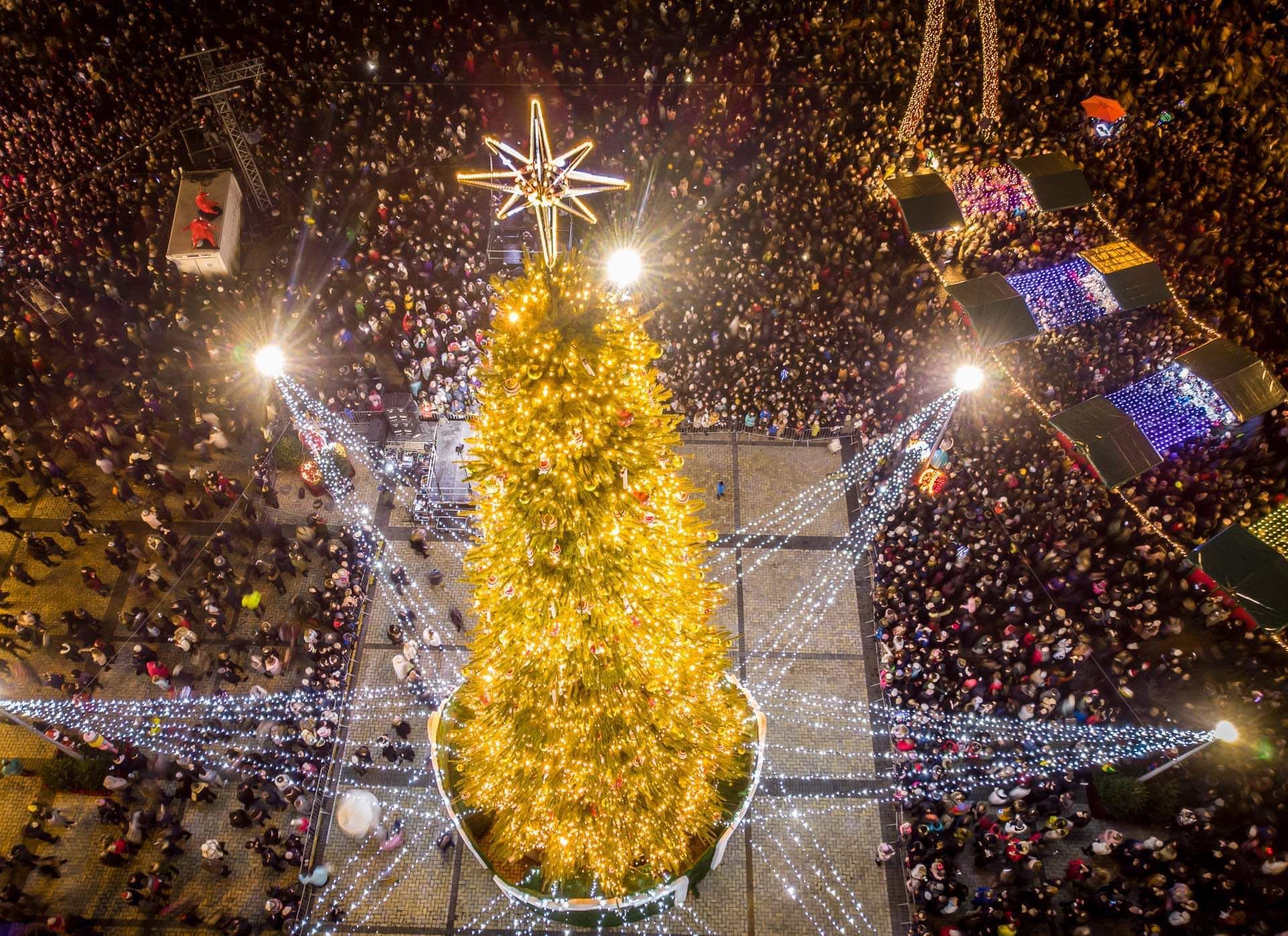 В КГВА рассказали, будет ли в Киеве главная елка в этом году