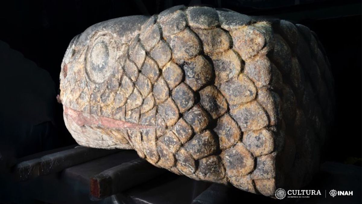 Под мексиканским университетом обнаружили огромную скульптуру с остатками краски Под мексиканским университетом обнаружили огромную скульптуру с остатками краски