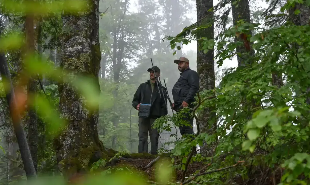 Екоактивісти намагаються зупинити вирубку лісу Екоактивісти намагаються зупинити вирубку лісу