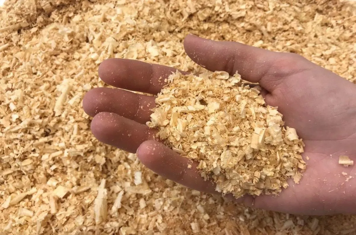 Опилки Опилки