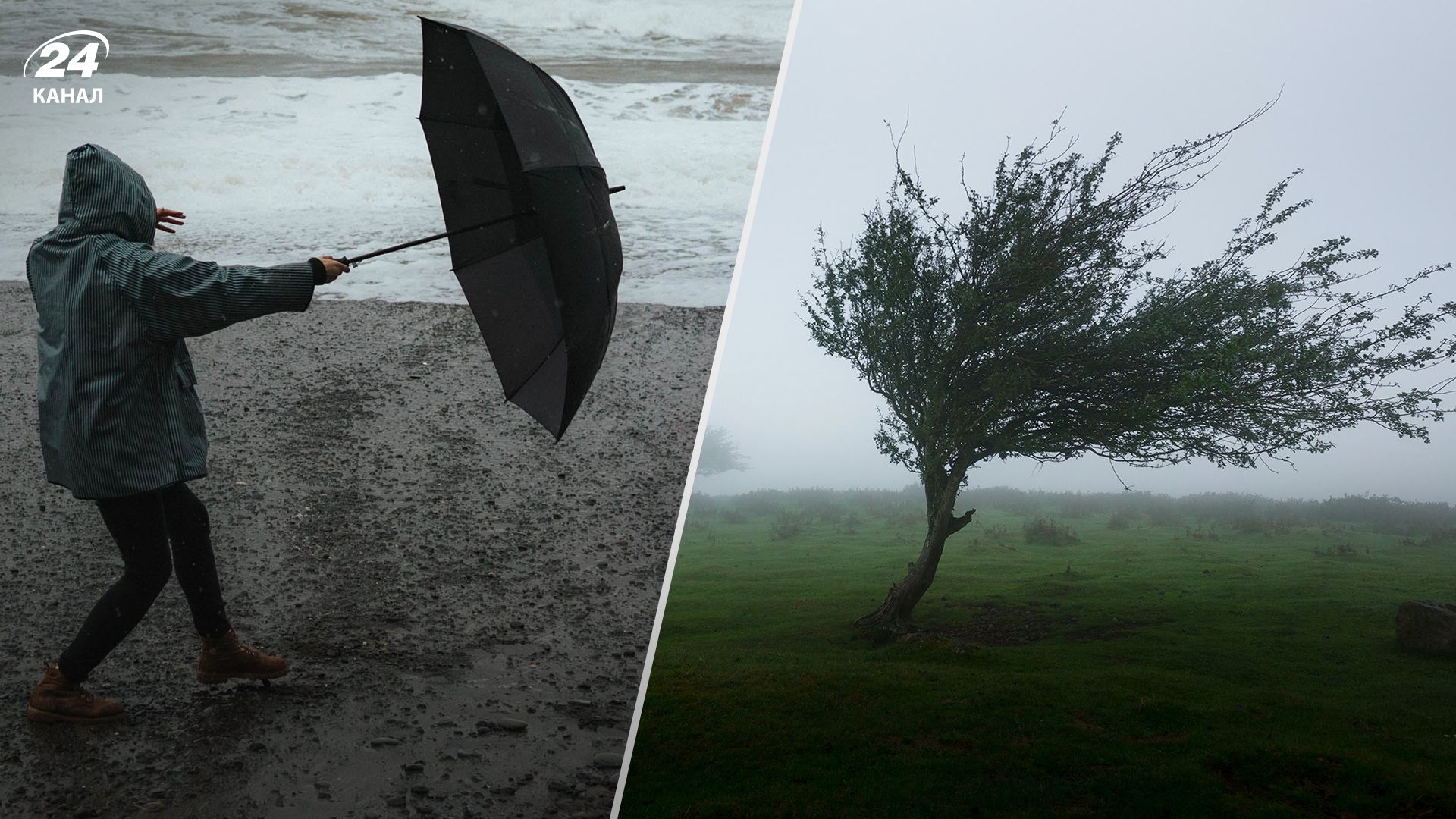 Штормовое предупреждение Штормовое предупреждение