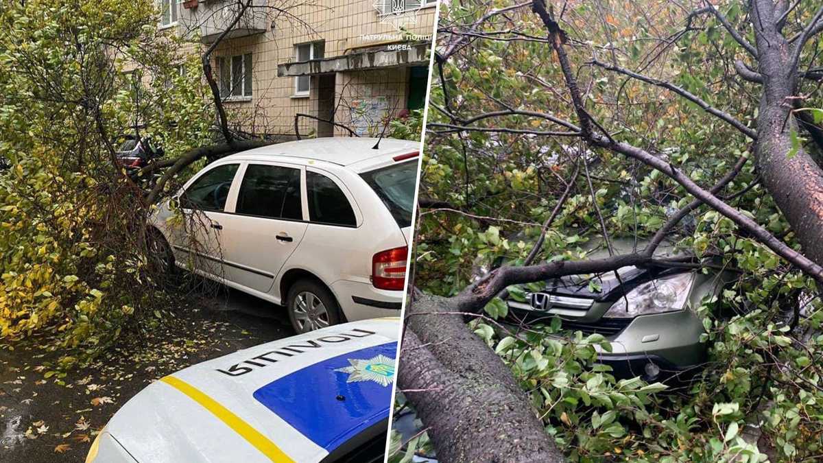 Погода в Украине сегодня - в Киеве и на Хмельнитчине деревья упали и убили  людей - 24 Канал