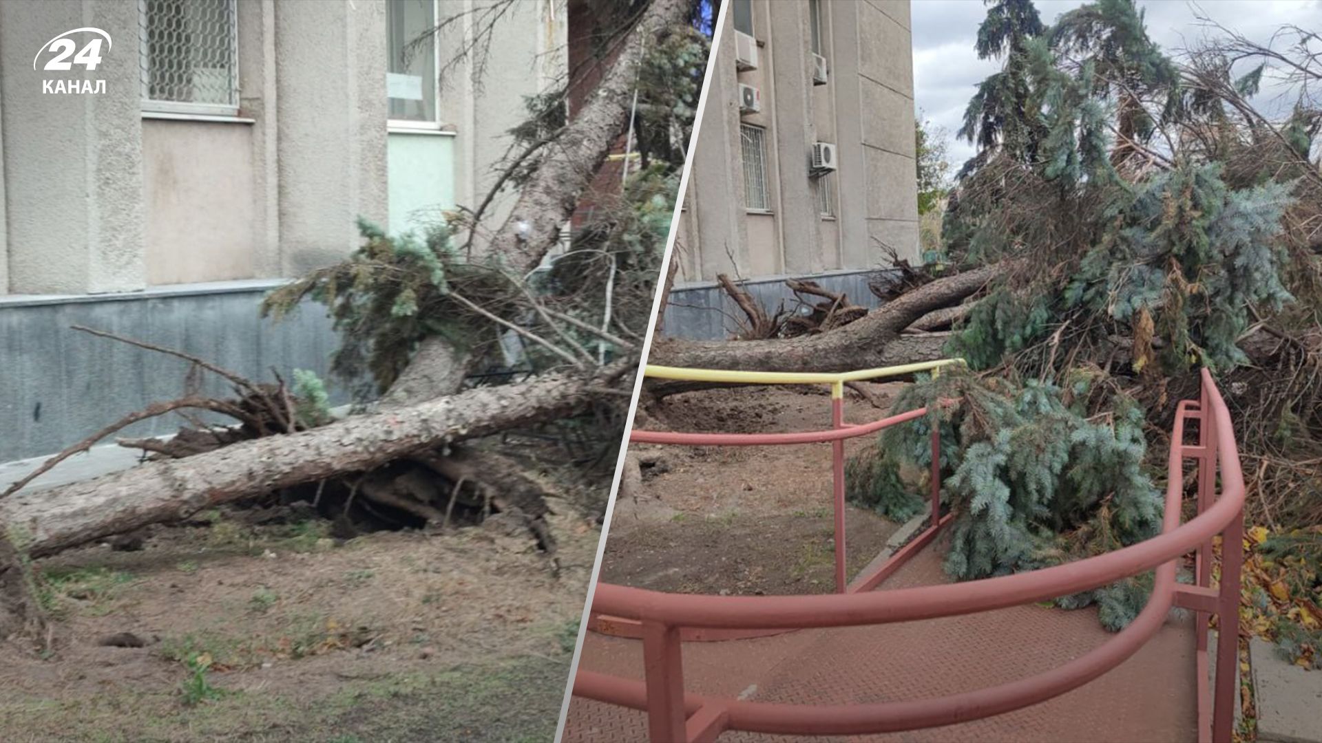 У Черкасах вітер повиривав дерева У Черкасах вітер повиривав дерева