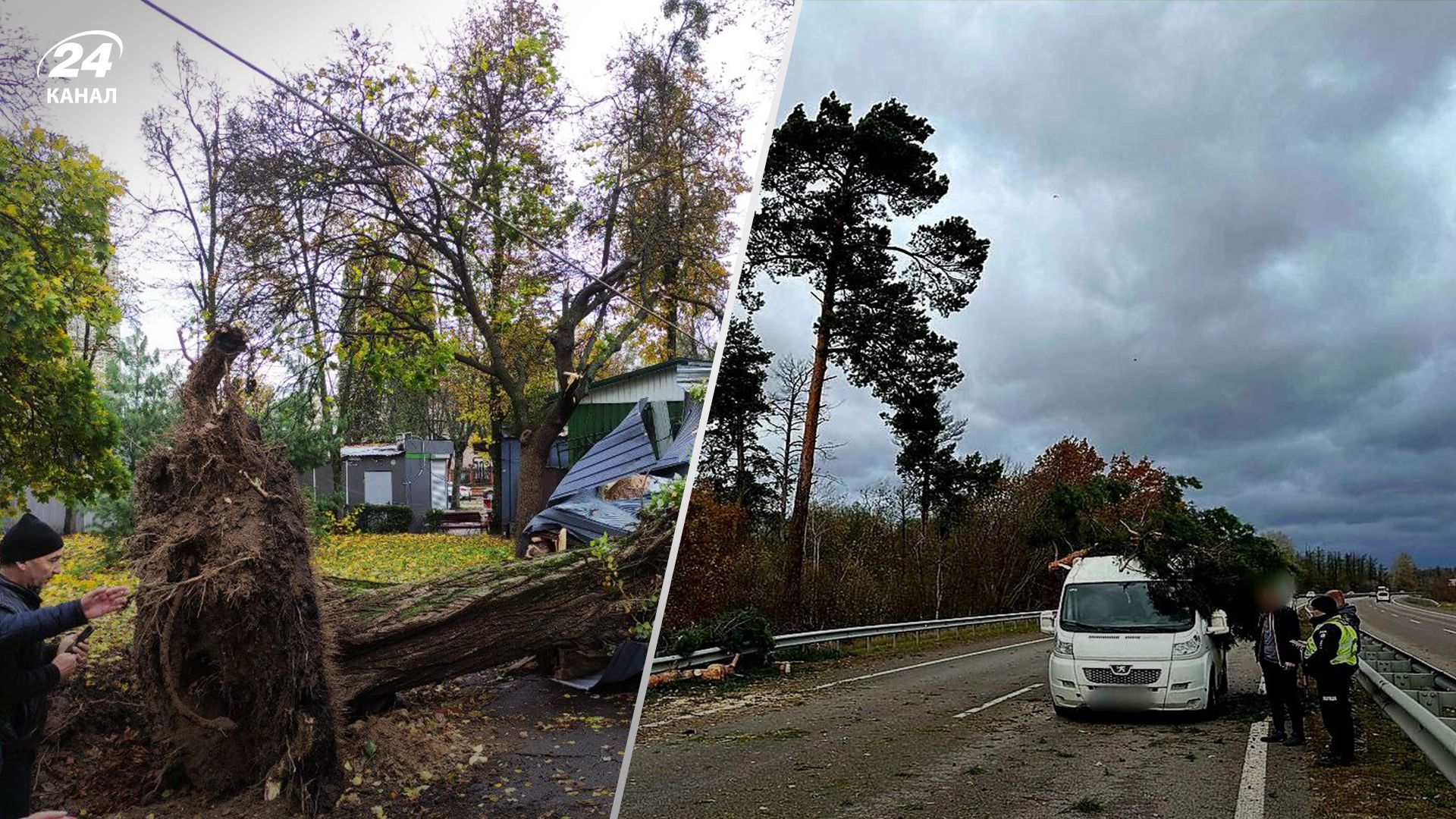 Шквальный ветер в Киеве 28 октября 2023 года Шквальный ветер в Киеве 28 октября 2023 года