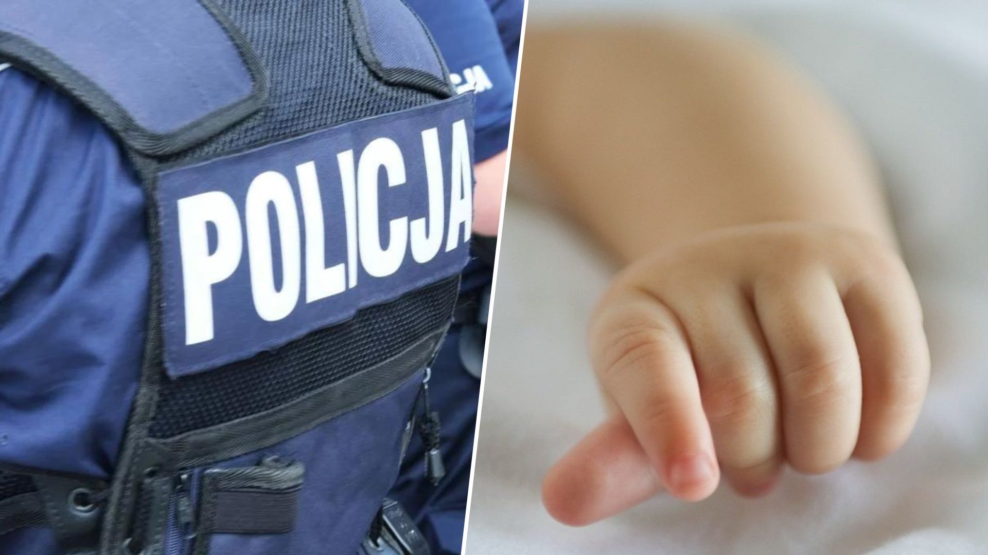 В Польше правоохранители обнаружили останки новорожденного ребенка