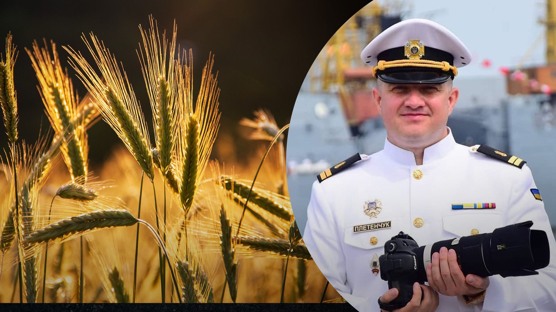 Плетенчук прокомментировал работу зернового коридора Плетенчук прокомментировал работу зернового коридора