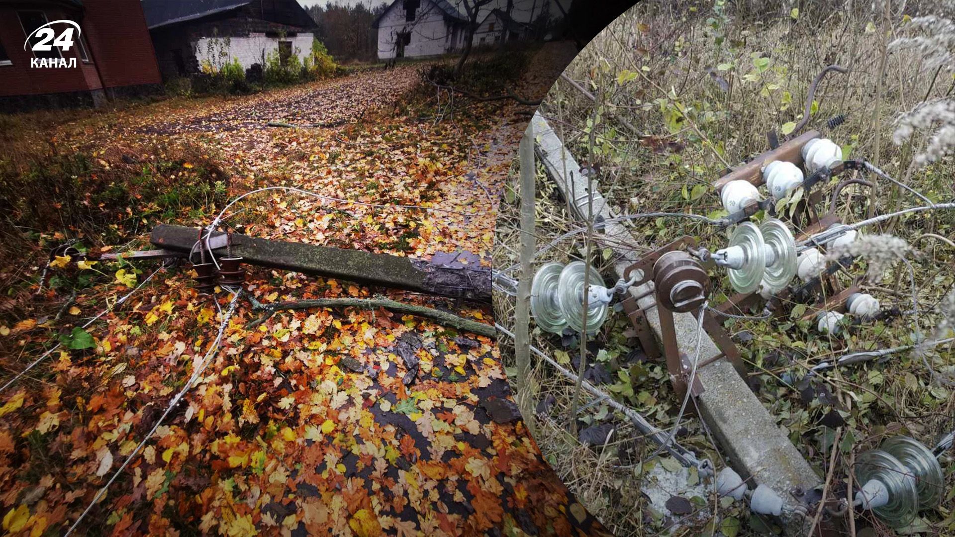 Буревій 28 жовтня 2023 - у Житомирській області вітер обірвав дроти та повалив стовпи - 24 Канал Буревій 28 жовтня 2023 - у Житомирській області вітер обірвав дроти та повалив стовпи - 24 Канал