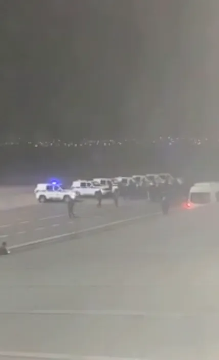 силовики силовики