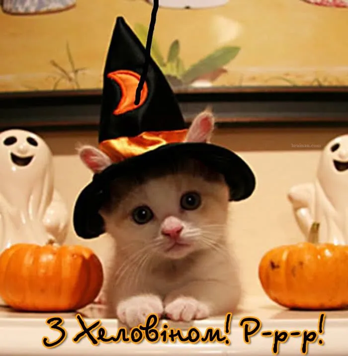 Привітання з Геловіном Привітання з Геловіном