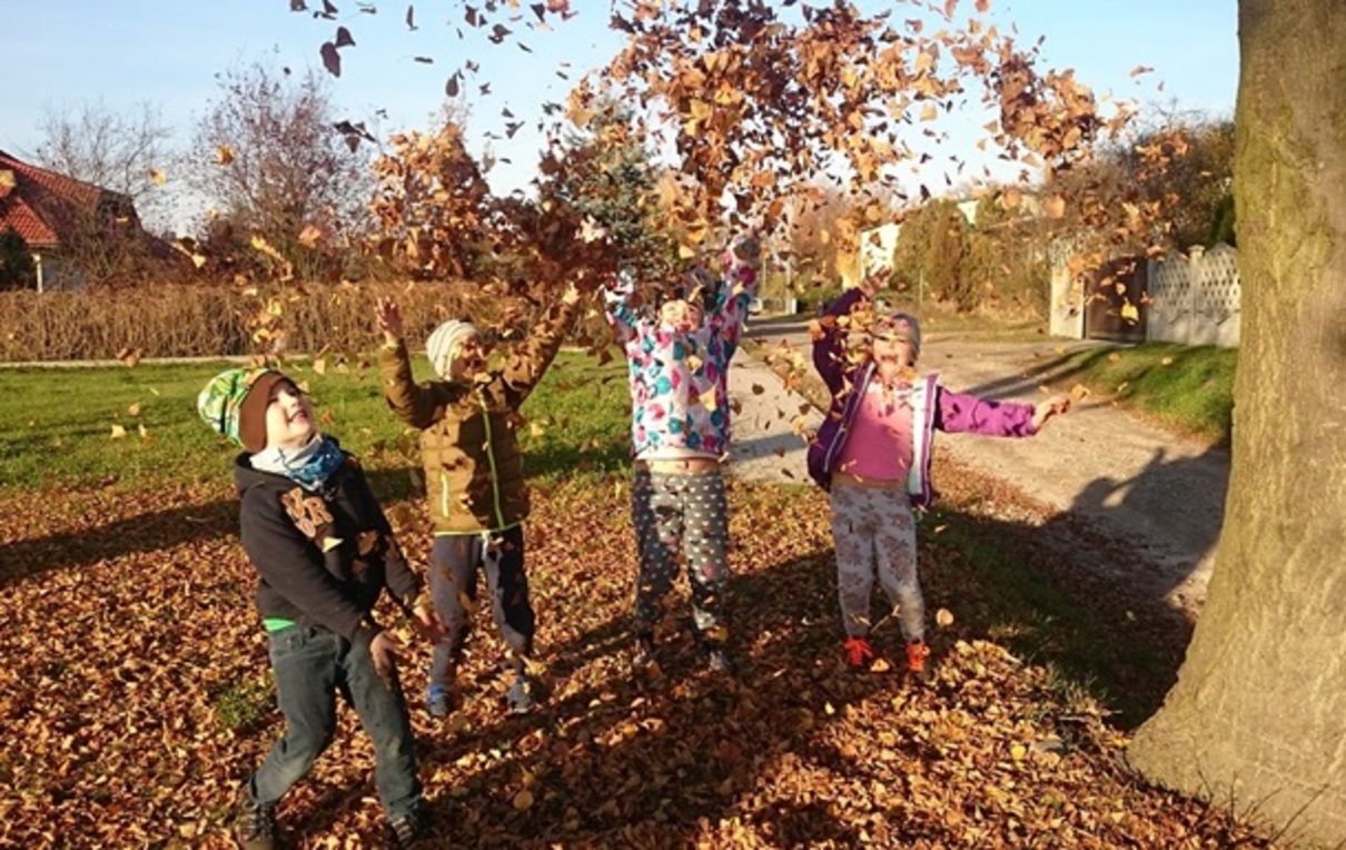 Осінні канікули 2023 у школах України - де учні йдуть на відпочинок з 30 жовтня Осінні канікули 2023 у школах України - де учні йдуть на відпочинок з 30 жовтня