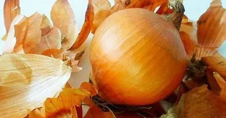 Лушпиння від цибулі Лушпиння від цибулі