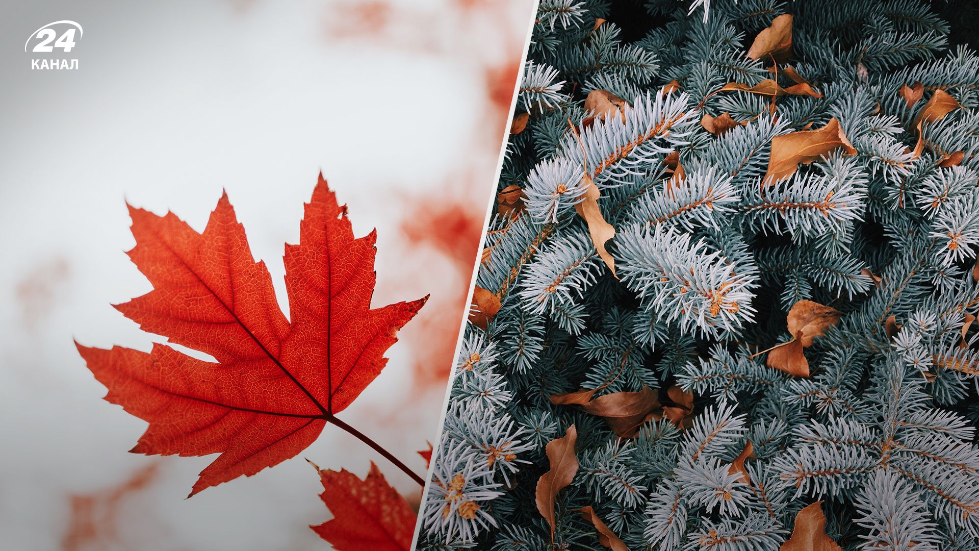 Якою буде погода з 1 листопада 2023 - коли розпочнеться відчутне похолодання - Новини України Якою буде погода з 1 листопада 2023 - коли розпочнеться відчутне похолодання - Новини України