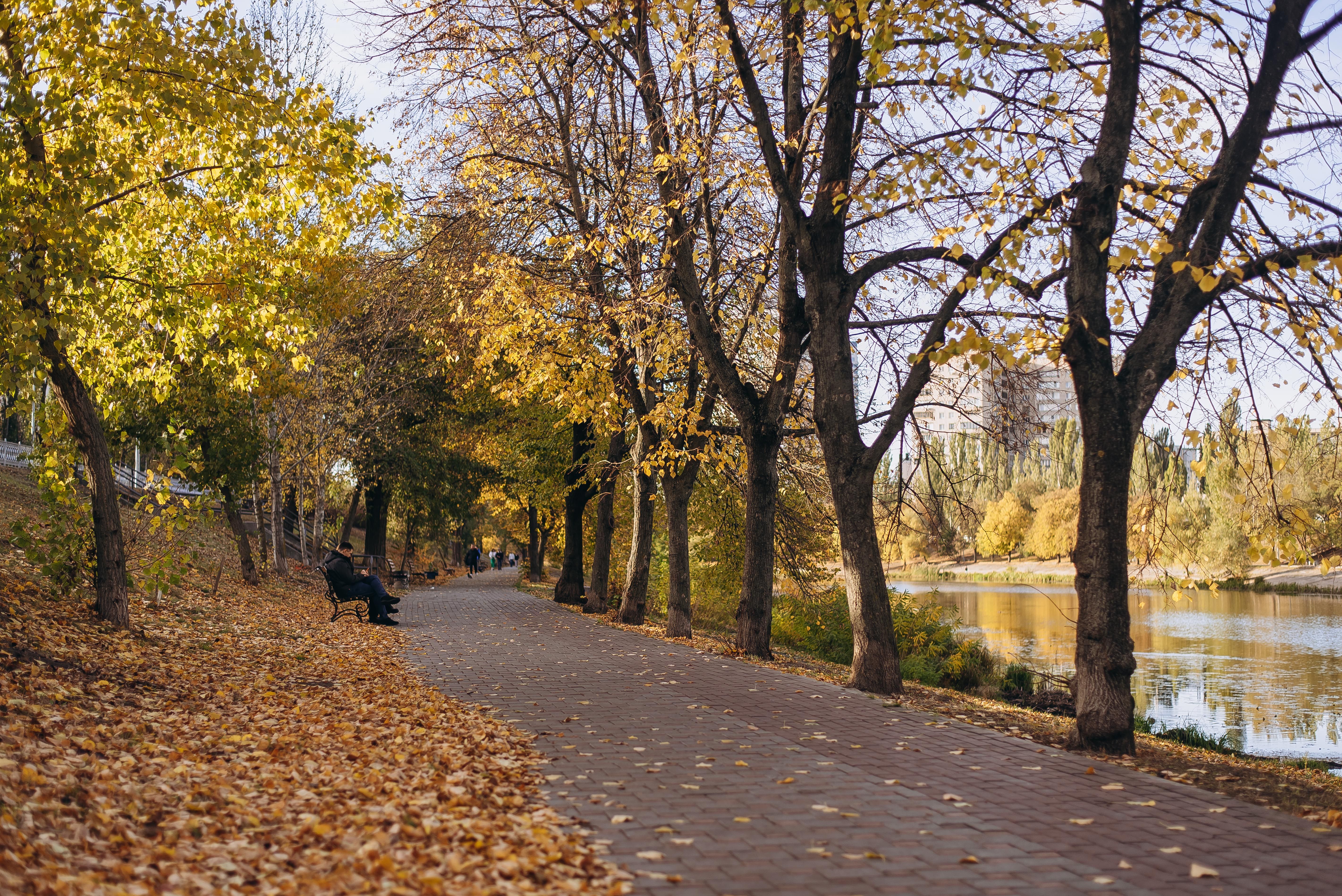 Прогноз погоды на 3 ноября Прогноз погоды на 3 ноября