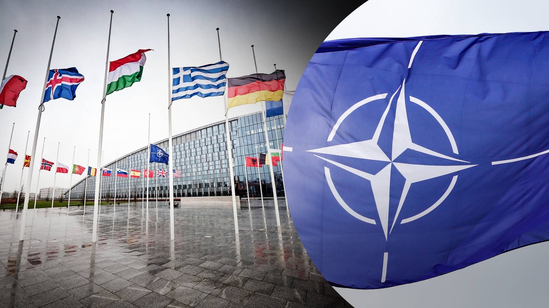 Украина должна стать членом НАТО - 24 Канал