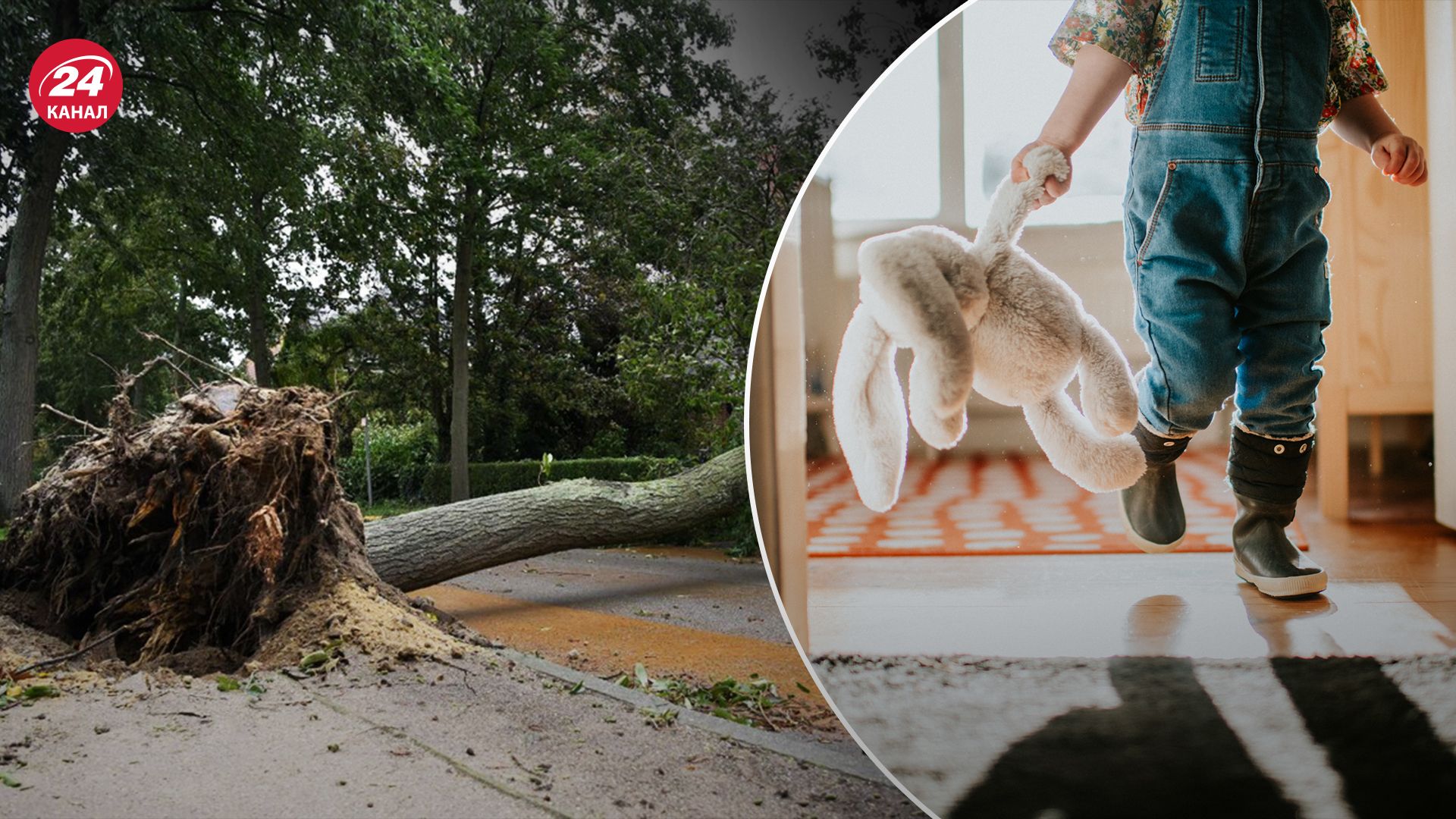 У Бельгії під час шторму загинула дитина У Бельгії під час шторму загинула дитина