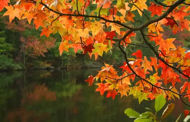 осень осень