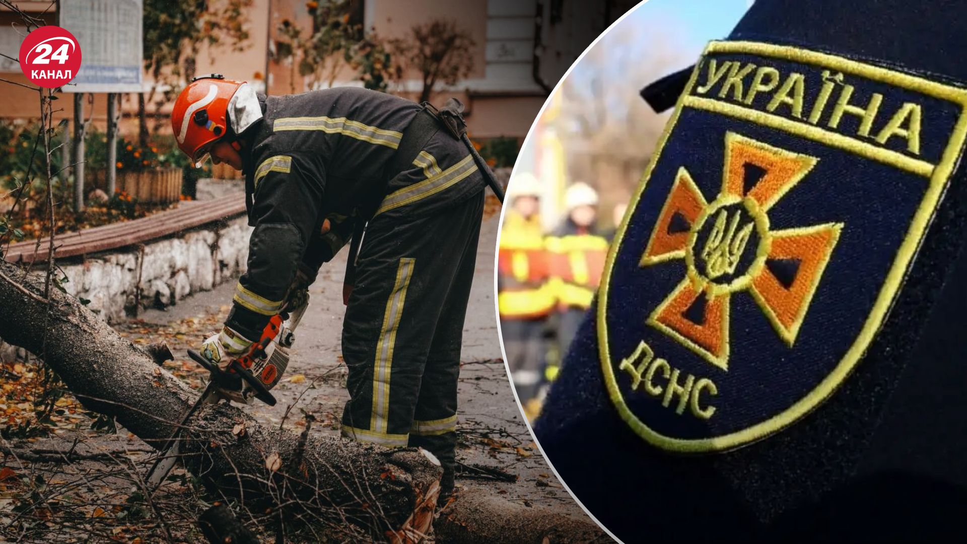 У Києві через негоду знову падають дерева
