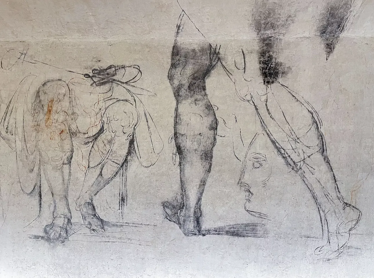 Делікатні малюнки вугіллям, які можна побачити на стінах кімнати в каплиці Медічі у Флоренції Делікатні малюнки вугіллям, які можна побачити на стінах кімнати в каплиці Медічі у Флоренції