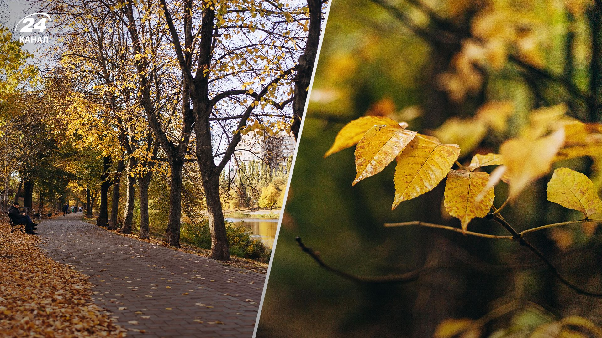 Прогноз погоды в Украине 7 ноября Прогноз погоды в Украине 7 ноября