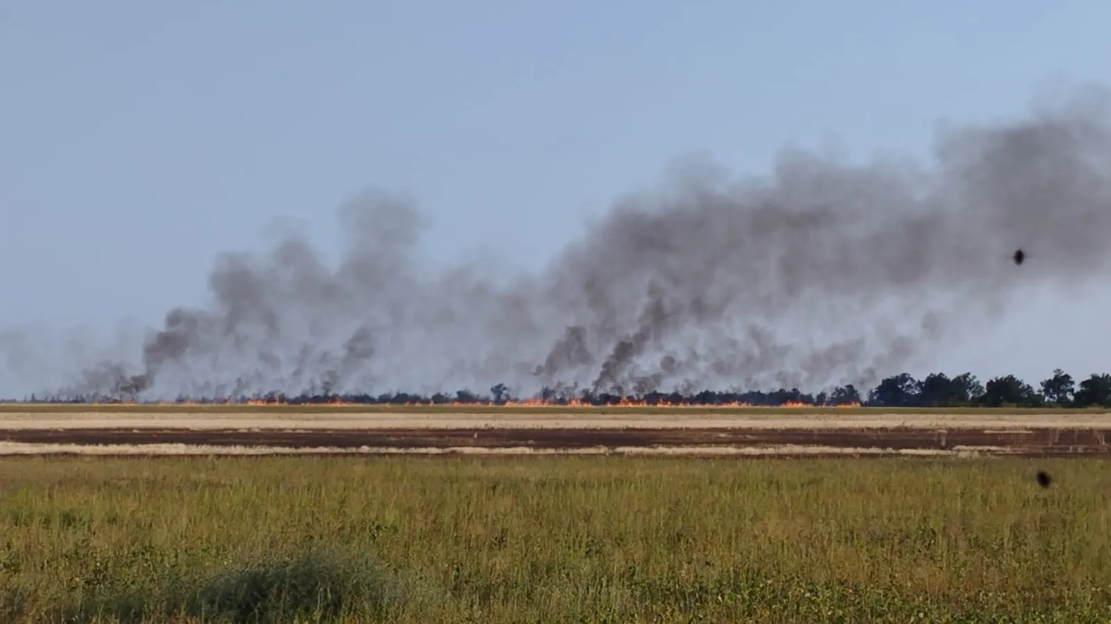 Херсонщина Херсонщина