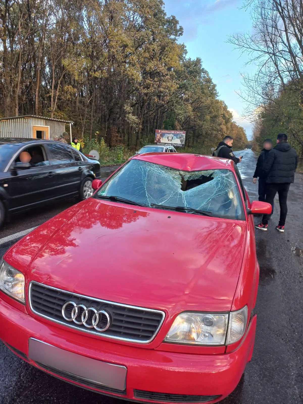 У селі Яноші на Закарпатті водій Audi наїхав на співробітника ДПСУ