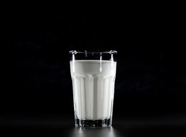 Молоко и молочные продукты содержат много питательных веществ