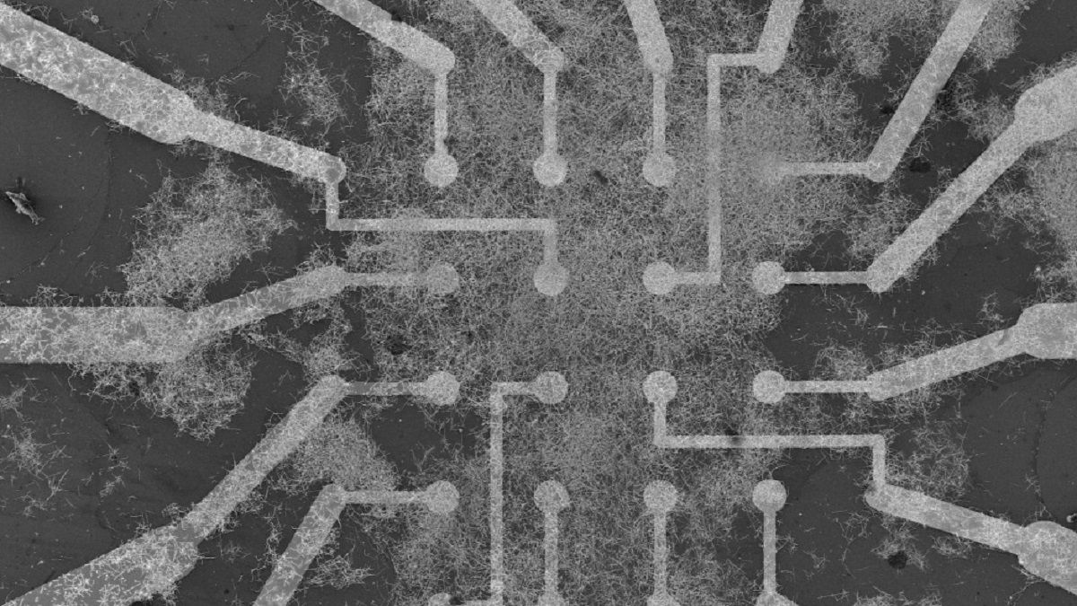 Ілюстративне фото Ілюстративне фото