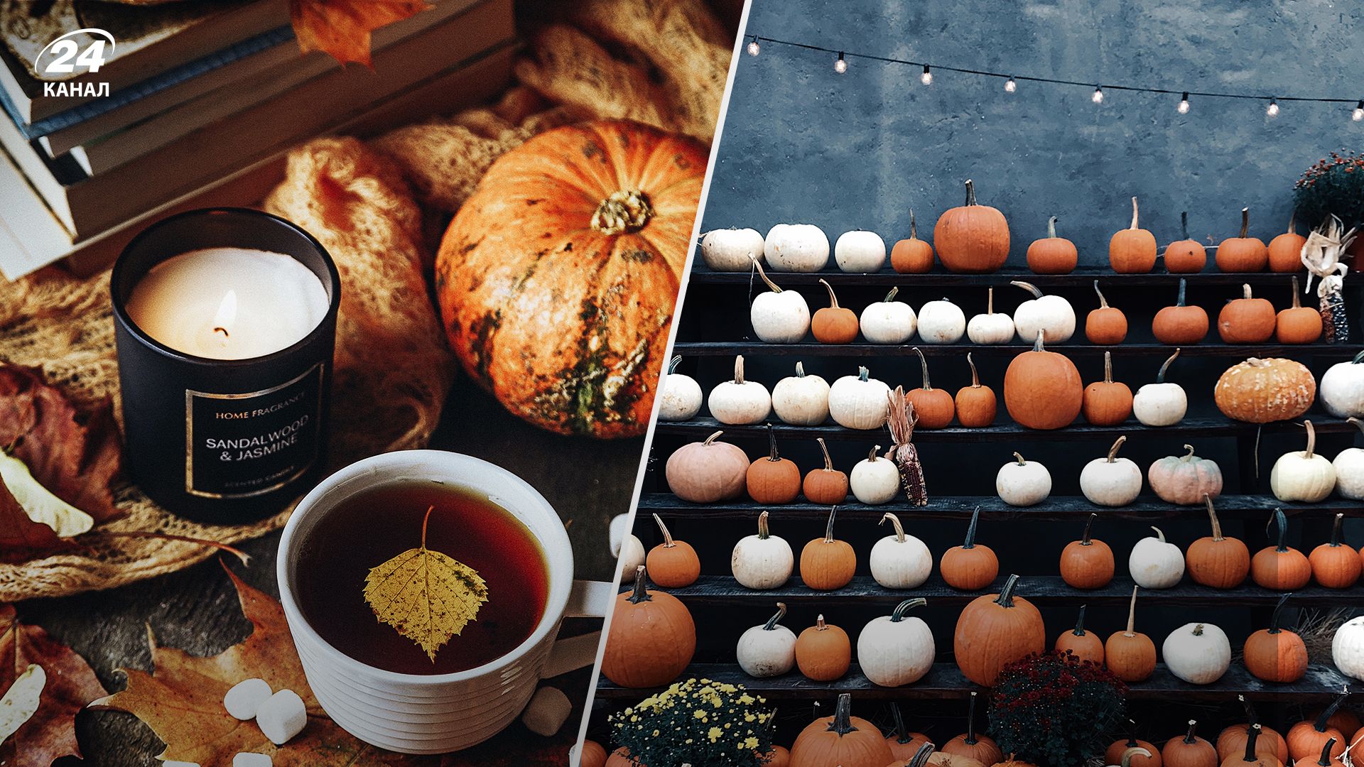 Прогноз погоди в Україні 9 листопада 2023 - дані від Укргідрометцентру Прогноз погоди в Україні 9 листопада 2023 - дані від Укргідрометцентру