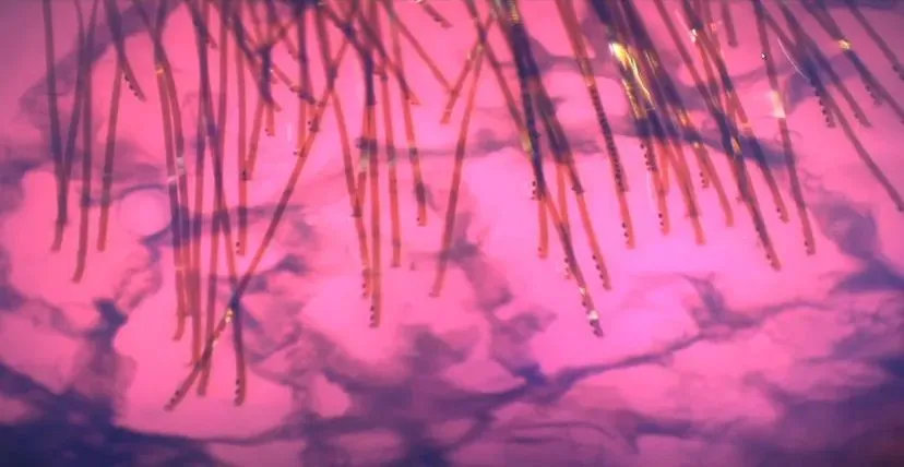 контакти контакти