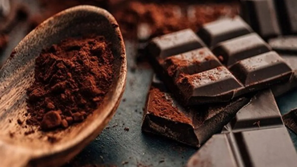 Шоколад содержит много полезных свойств