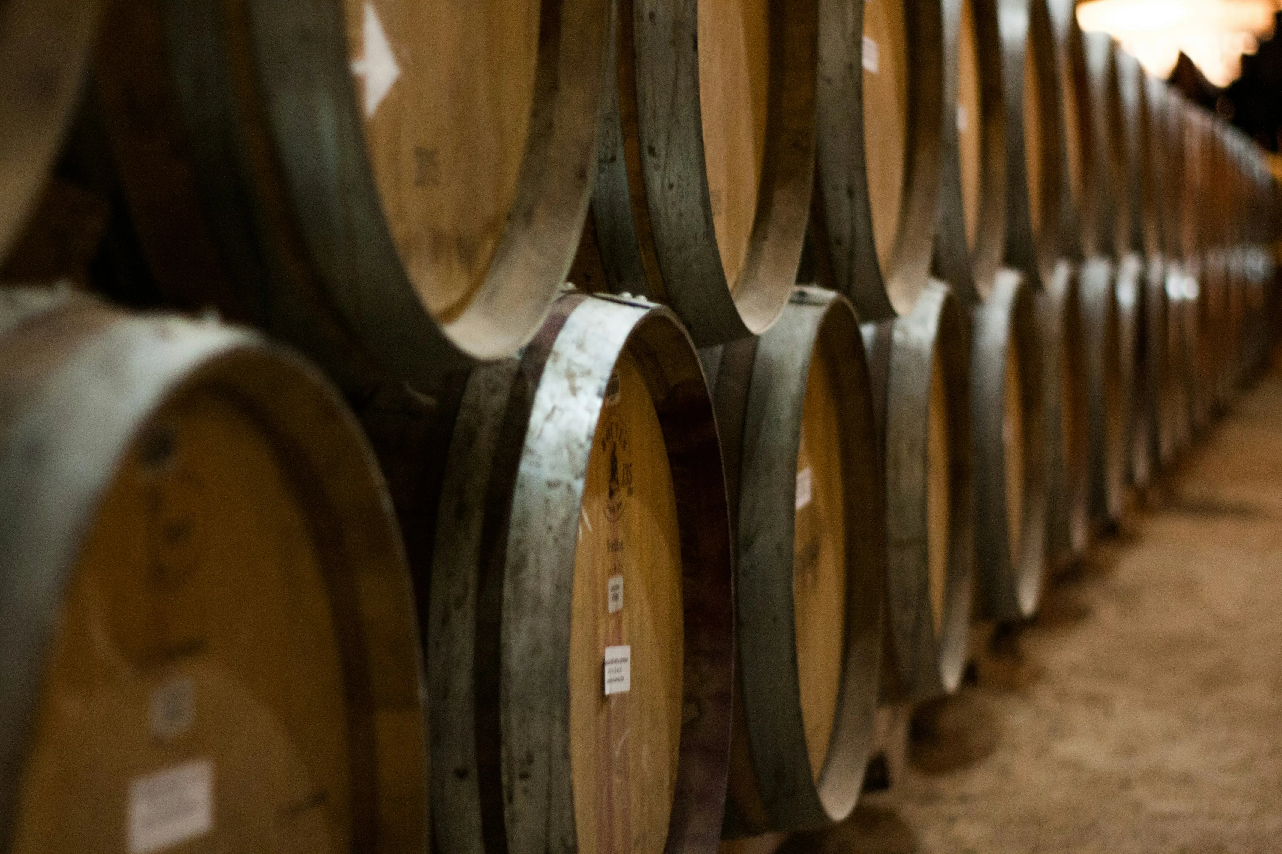 Из какого винограда делают вино: подборка лучших сортов