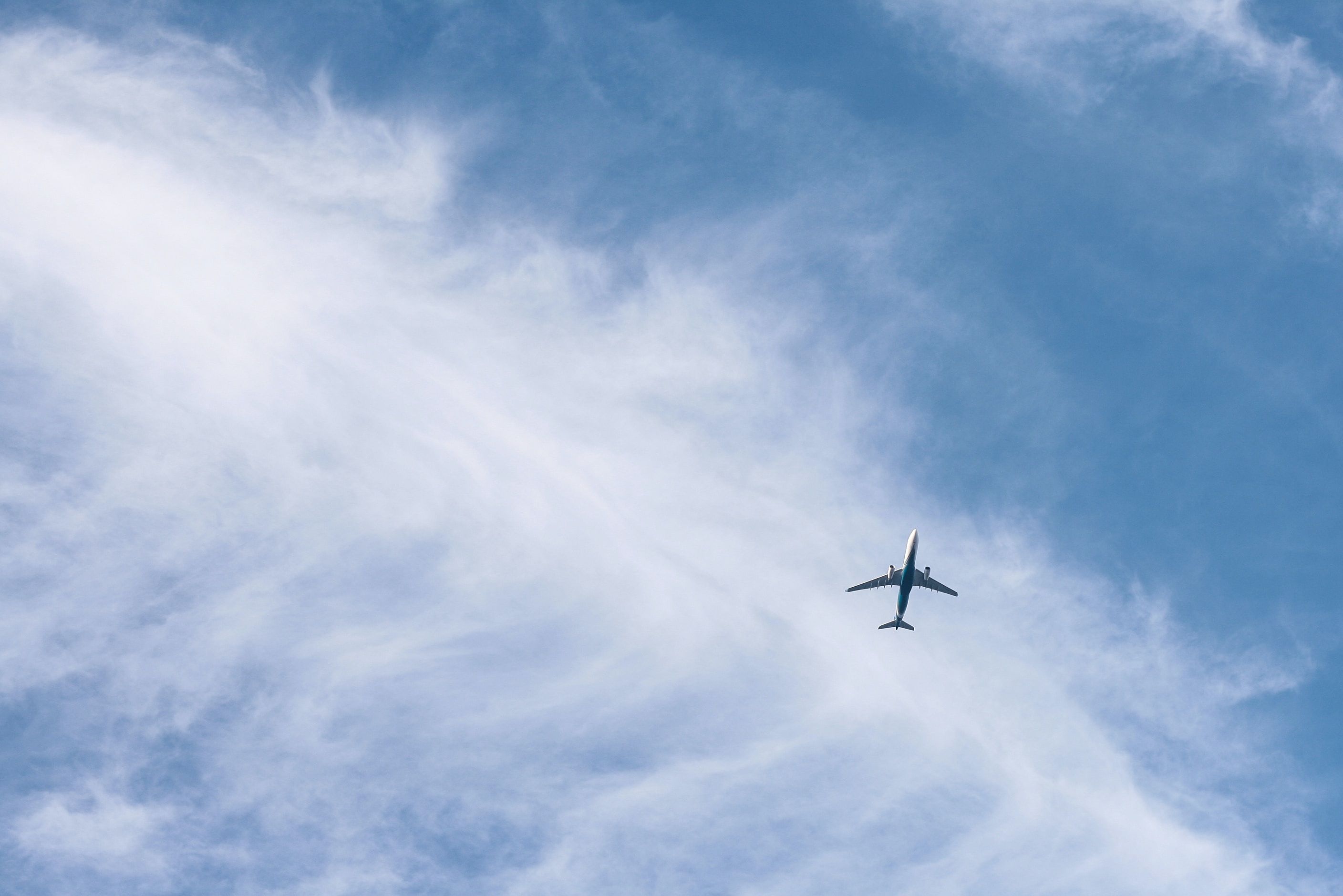 Ryanair, Turkish Airlines та інші готові літати до України