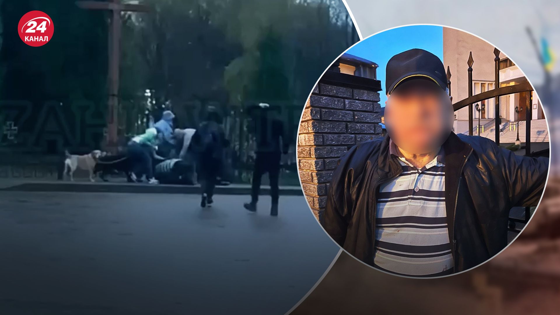 Во Львове произошел конфликт с резней между двумя хозяевами собак Во Львове произошел конфликт с резней между двумя хозяевами собак