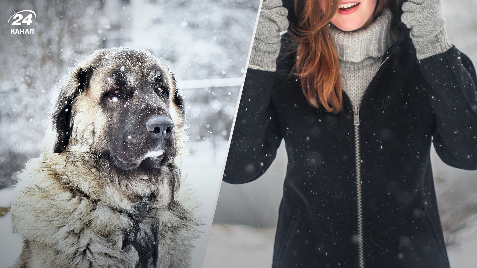 Снег - 24 Канал Снег - 24 Канал