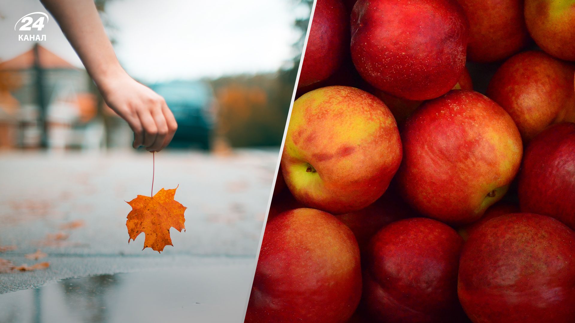 Погода в Україні 13 листопада 2023 - що прогнозують синоптики - Новини України Погода в Україні 13 листопада 2023 - що прогнозують синоптики - Новини України
