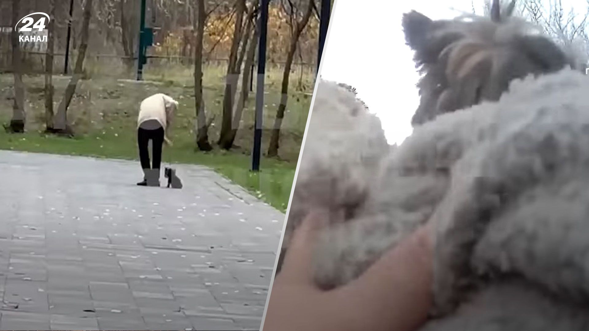  В Киеве мужчина издевался над щенком