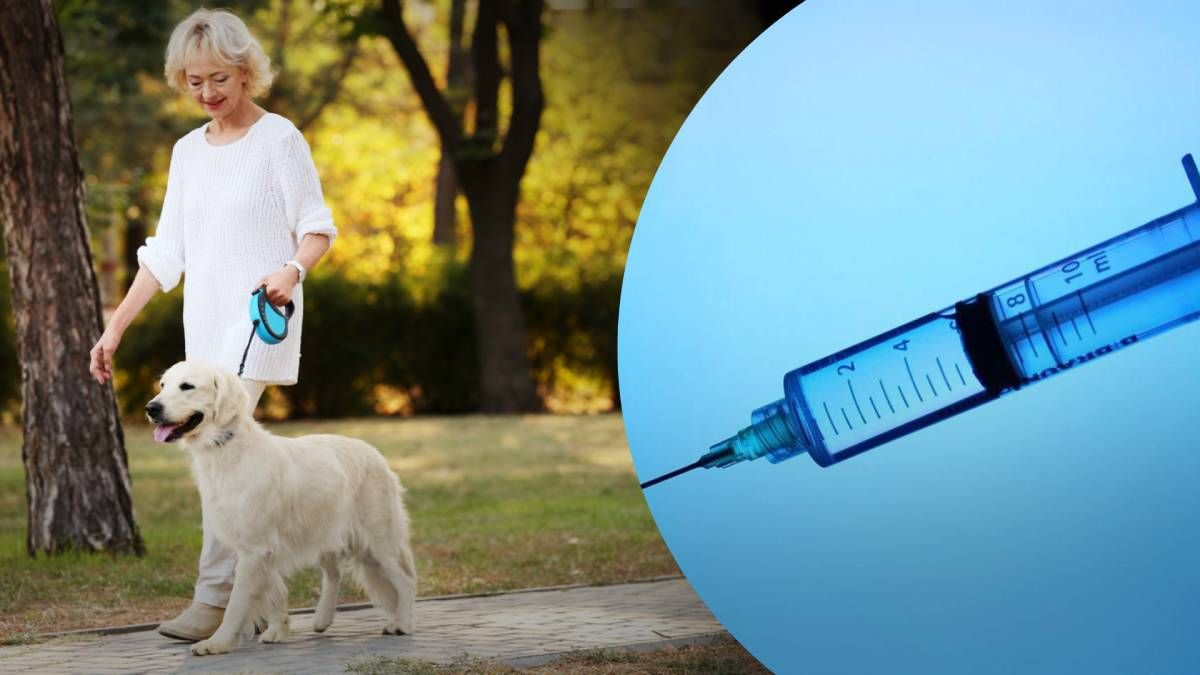 В клинике, где усыпили собаку, оправдываются, что та была неизлечимо больной В клинике, где усыпили собаку, оправдываются, что та была неизлечимо больной