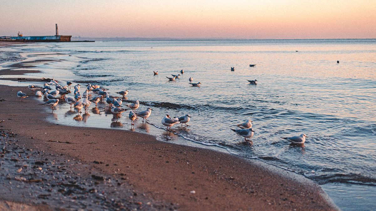 Прогноз погоды в Украине 14 ноября - синоптики прогнозируют дожди в Украине - 24 Канал Прогноз погоды в Украине 14 ноября - синоптики прогнозируют дожди в Украине - 24 Канал