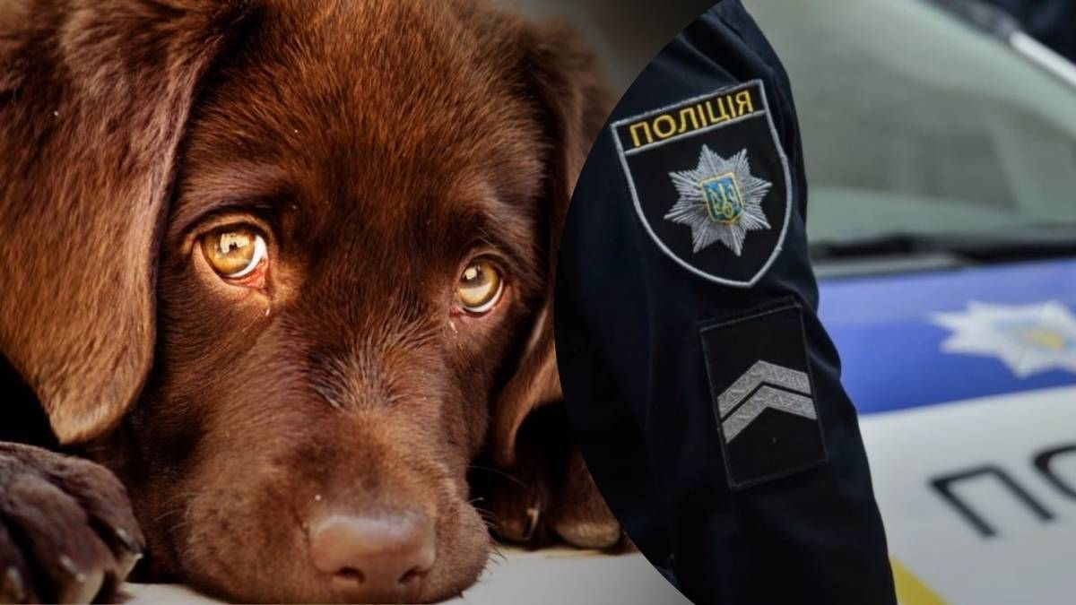 Чоловікові інкримінують жорстоке поводження з твариною у присутності дітей Чоловікові інкримінують жорстоке поводження з твариною у присутності дітей