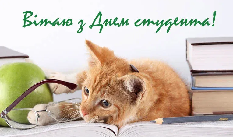 Международный день студента Международный день студента